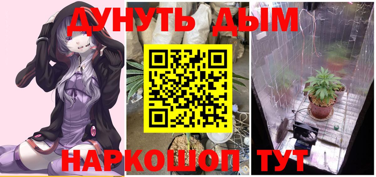 Шишки марихуана марихуана Вышний Волочёк